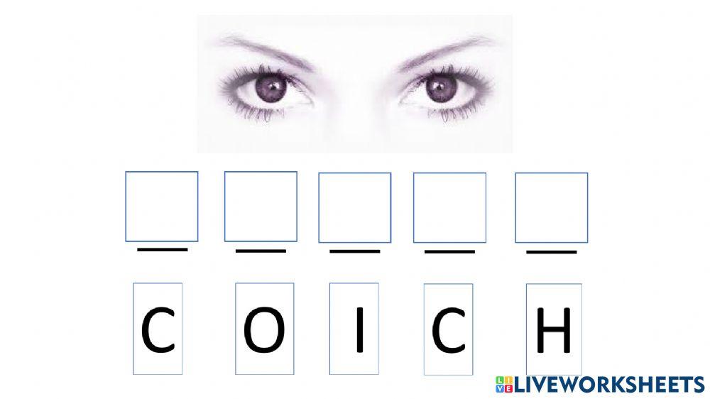 Ricostruisce le parole