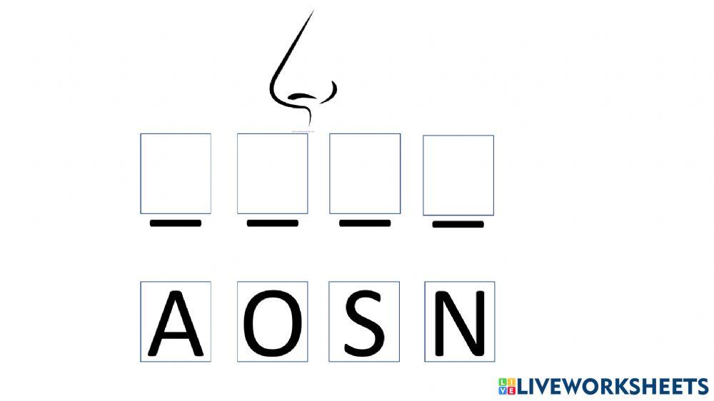 Ricostruisce le parole