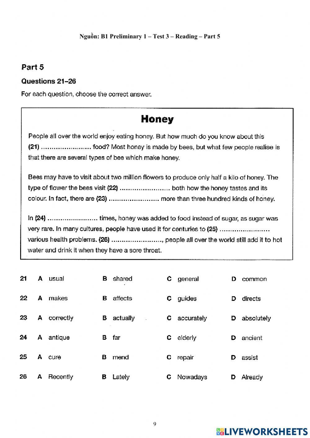 Viet Teacher-S6-TET HOLIDAY-PET PRACTICE