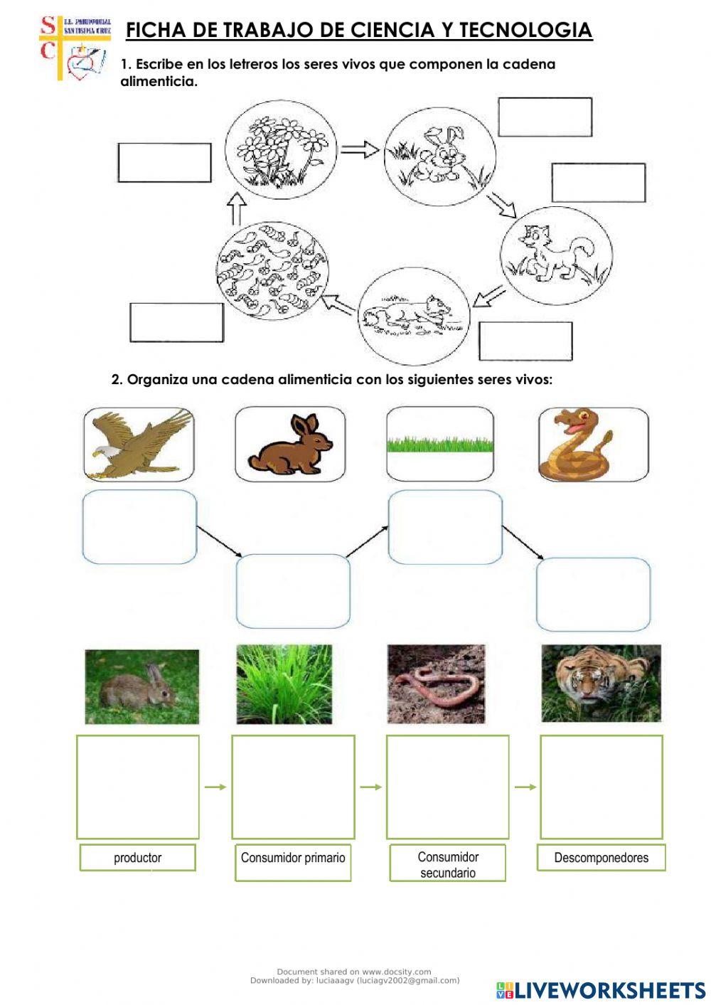 La cadena alimenticia