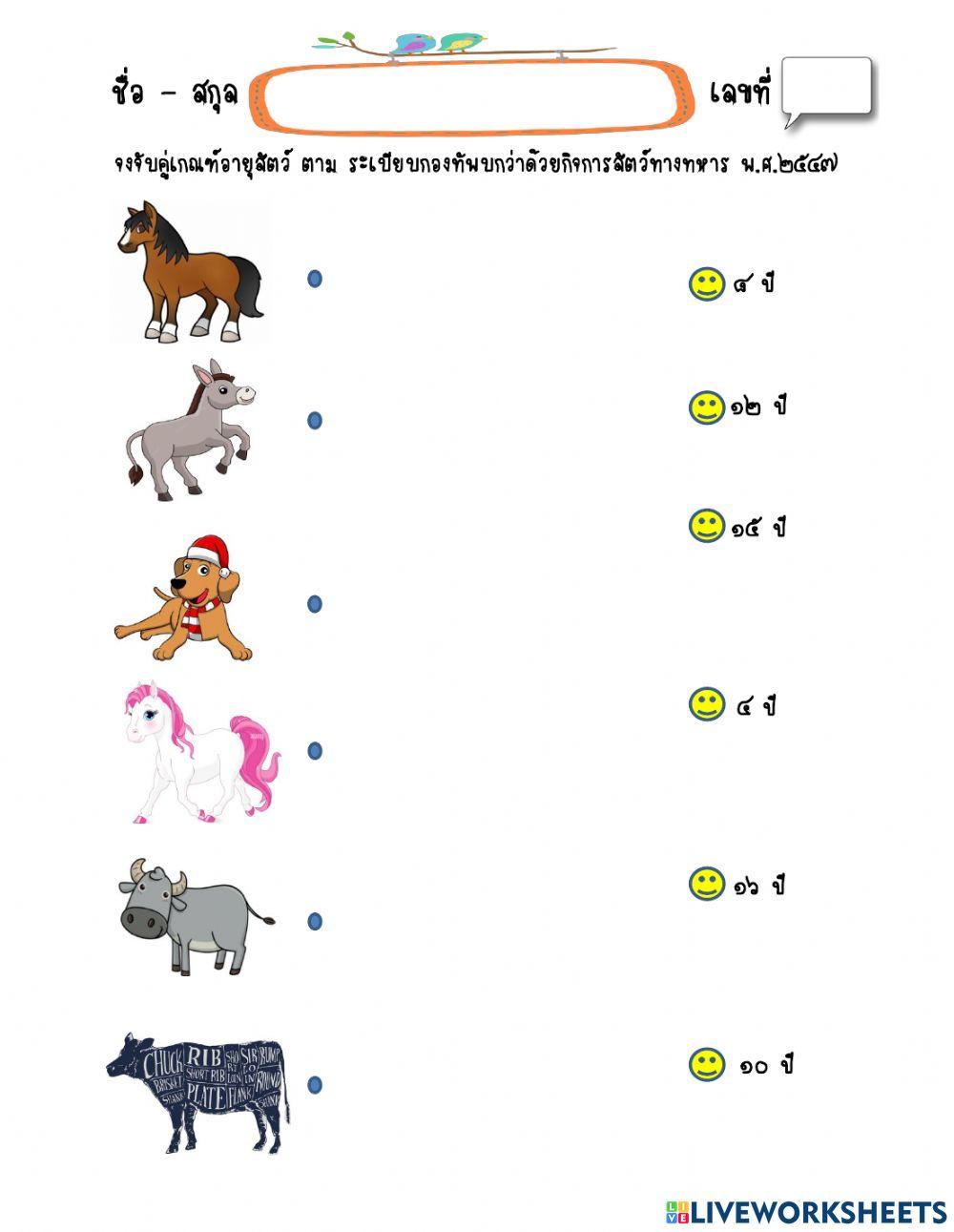 แบบฝึกหัดโยงเส้นจับคู่เกณฑ์สัตว์ทางทหาร