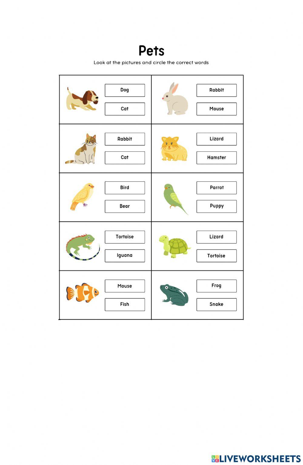 KUIS BAHASA INGGRIS KELAS VIII