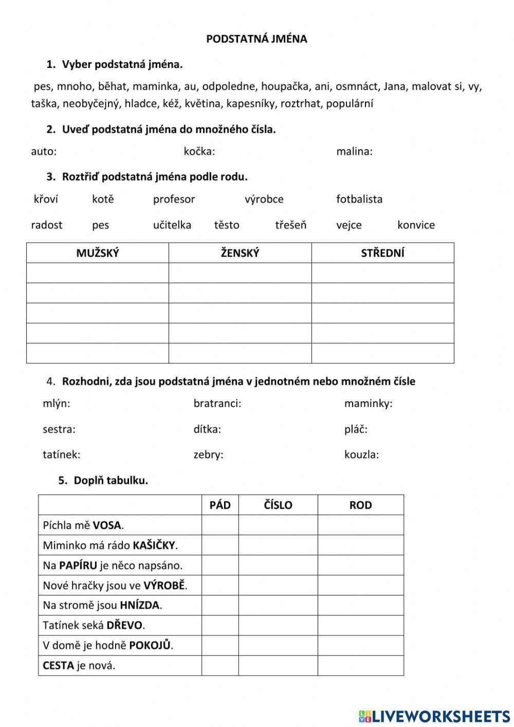 Podstatná jména - 4. třída