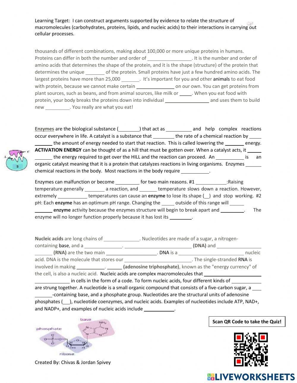 Biology Milestones Prep - Macromolecules Part 1