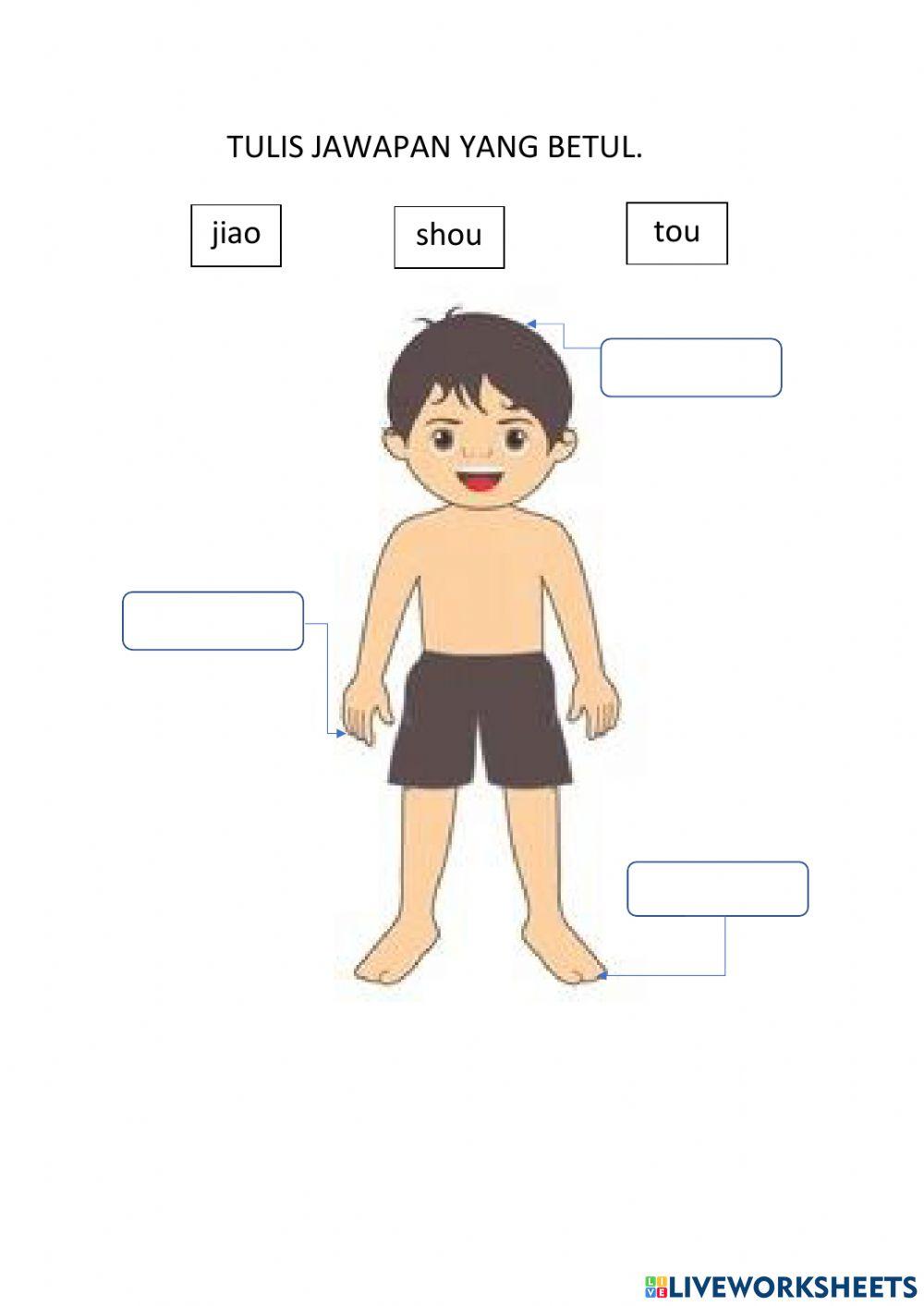 BCSK TAHUN 1 -- BAB 7