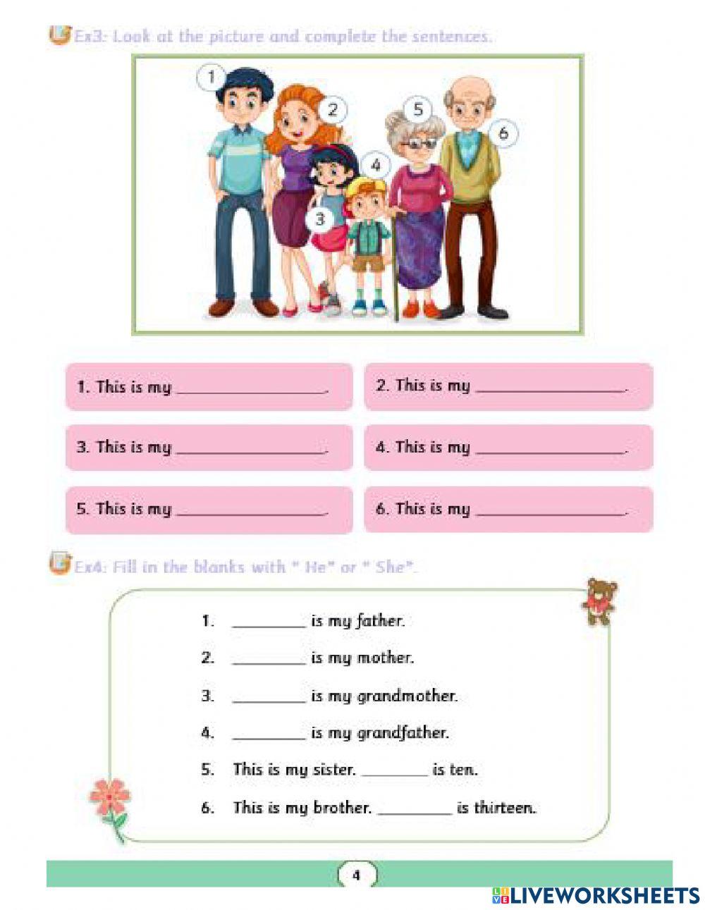 G3-u11 l1 test dg 3-1