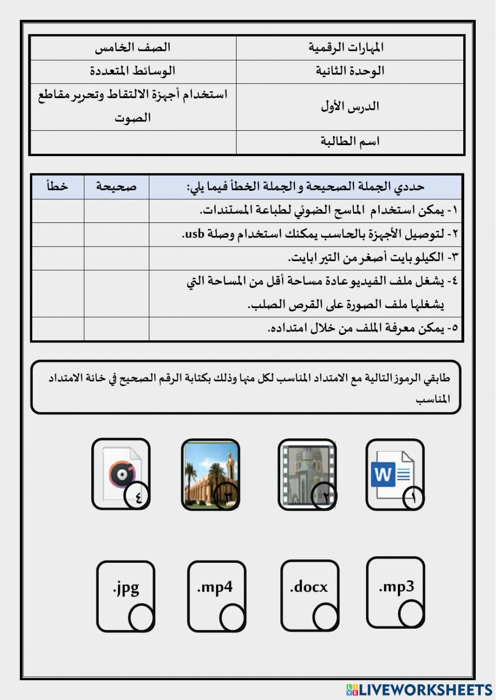 المهارات الرقمية