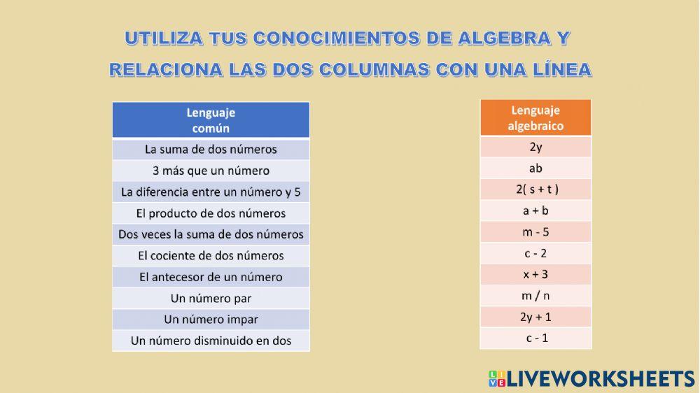 Lenguaje algebraico