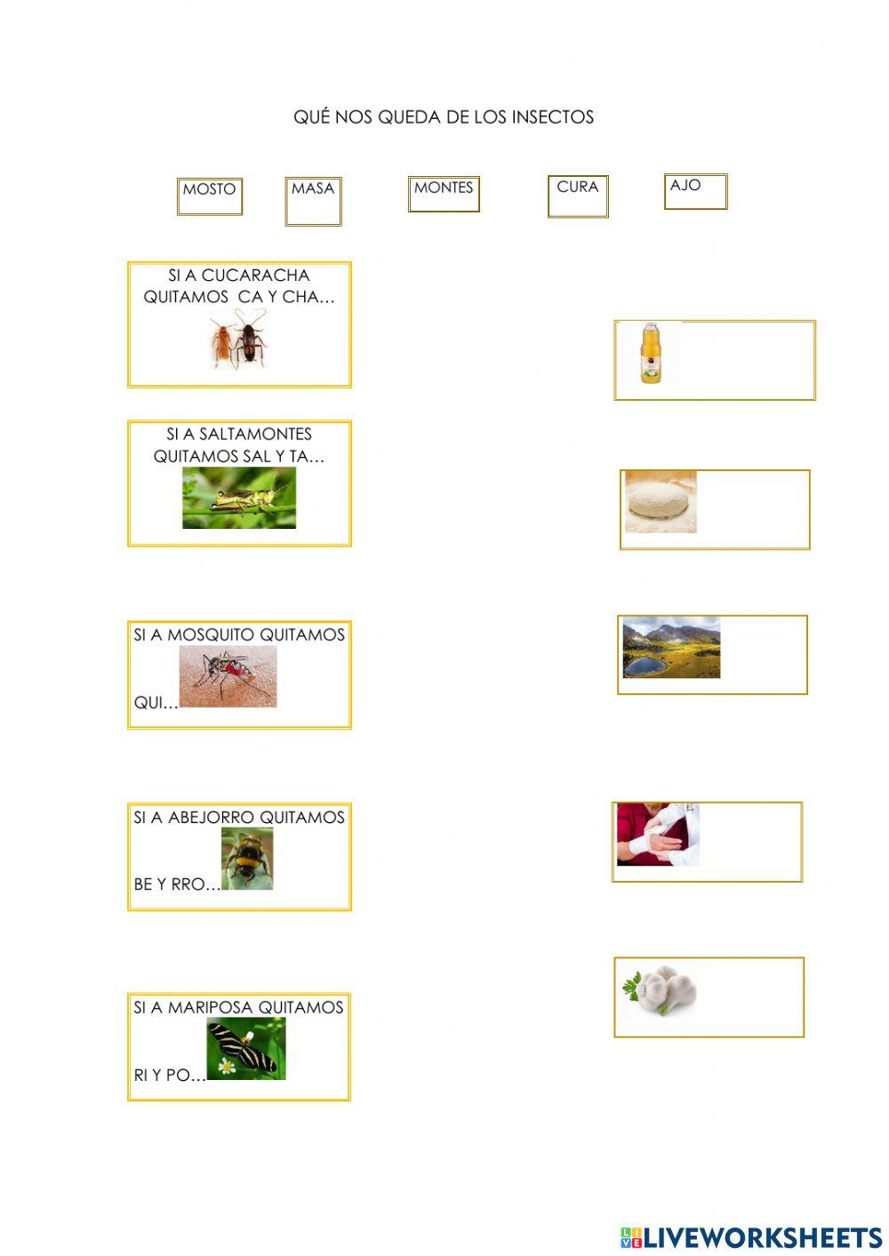 Qué nos queda de los insectos