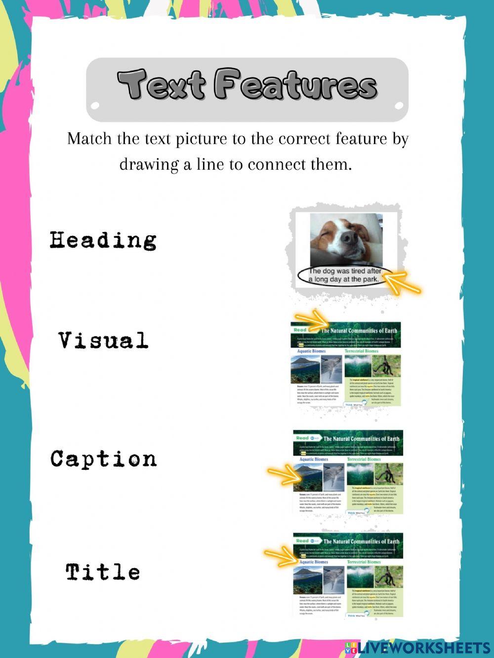 Text Features exercise for 4 | Live Worksheets