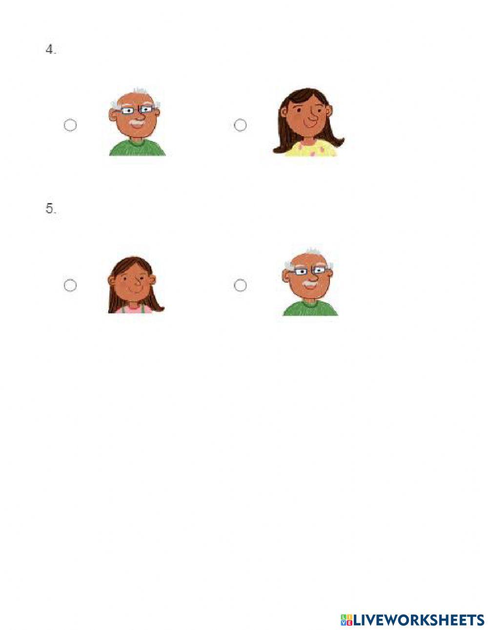 Study guide January exam 1st GRADE