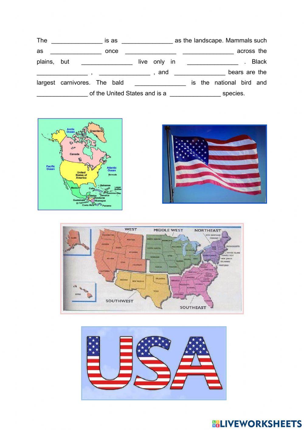 USA - General Information