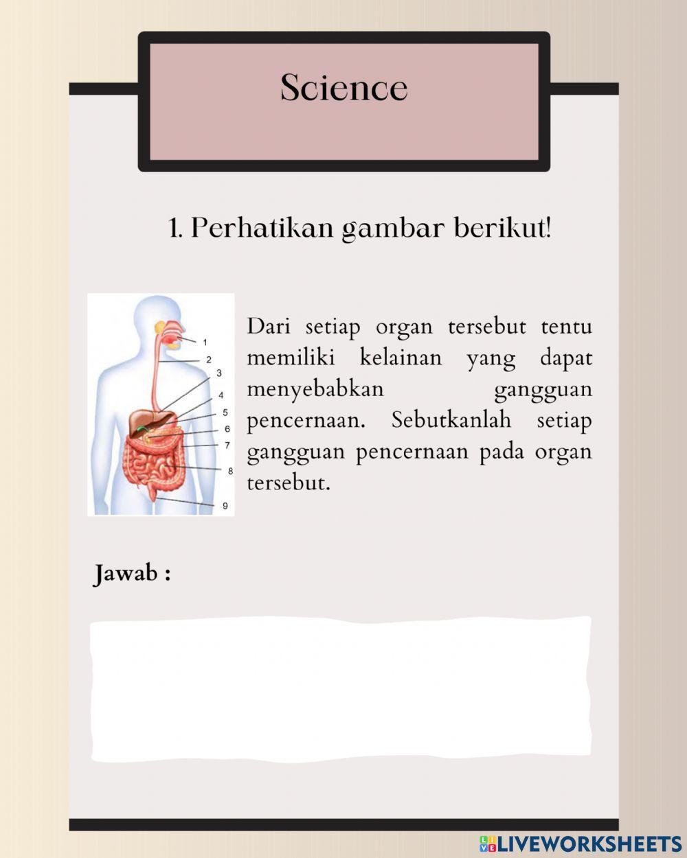 Gangguan Sistem Pencernaan