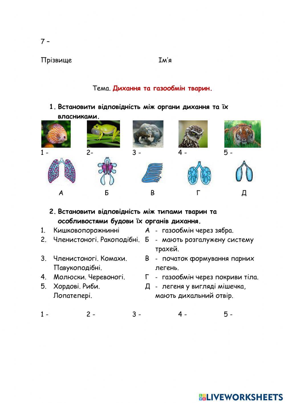 Дихання та газообмін тварин.