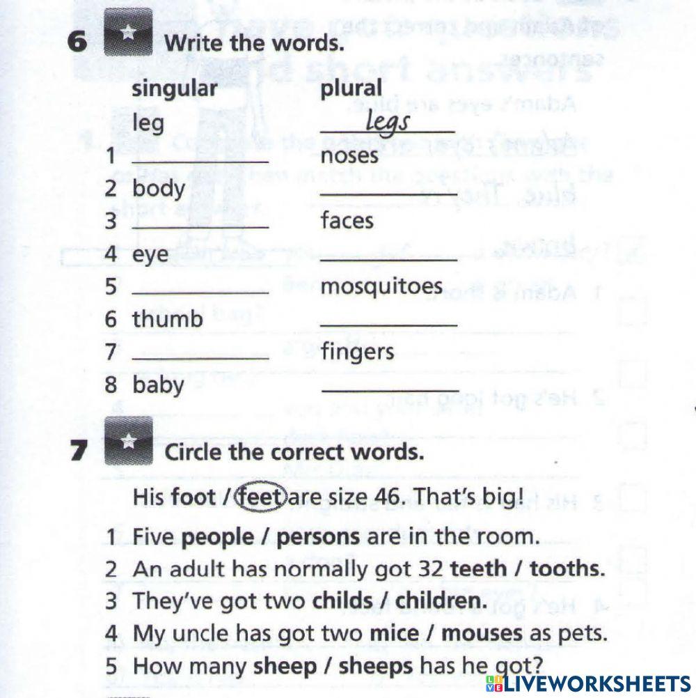 Singular Vs. Plural form of nouns by Teacher Kazim