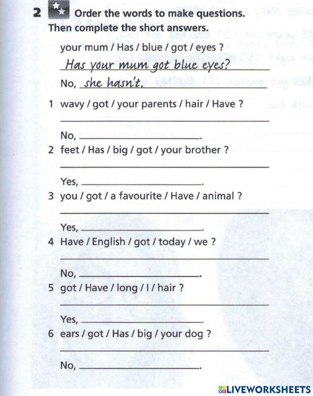 Writing Have got and Has got Question and Answers by Teacher Kasim