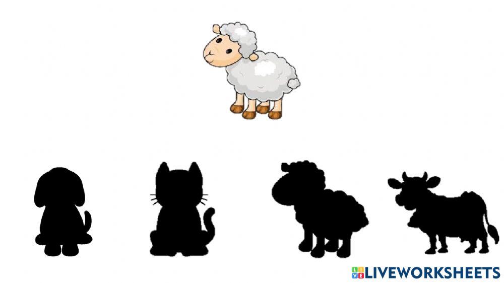 Atención y discriminación visual. Animales