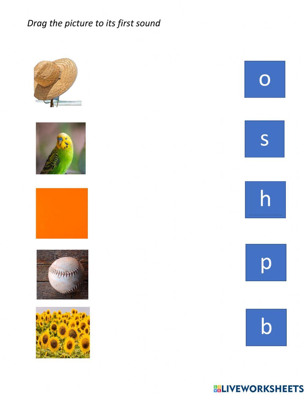 Drag the picture to its first sound worksheet | Live Worksheets