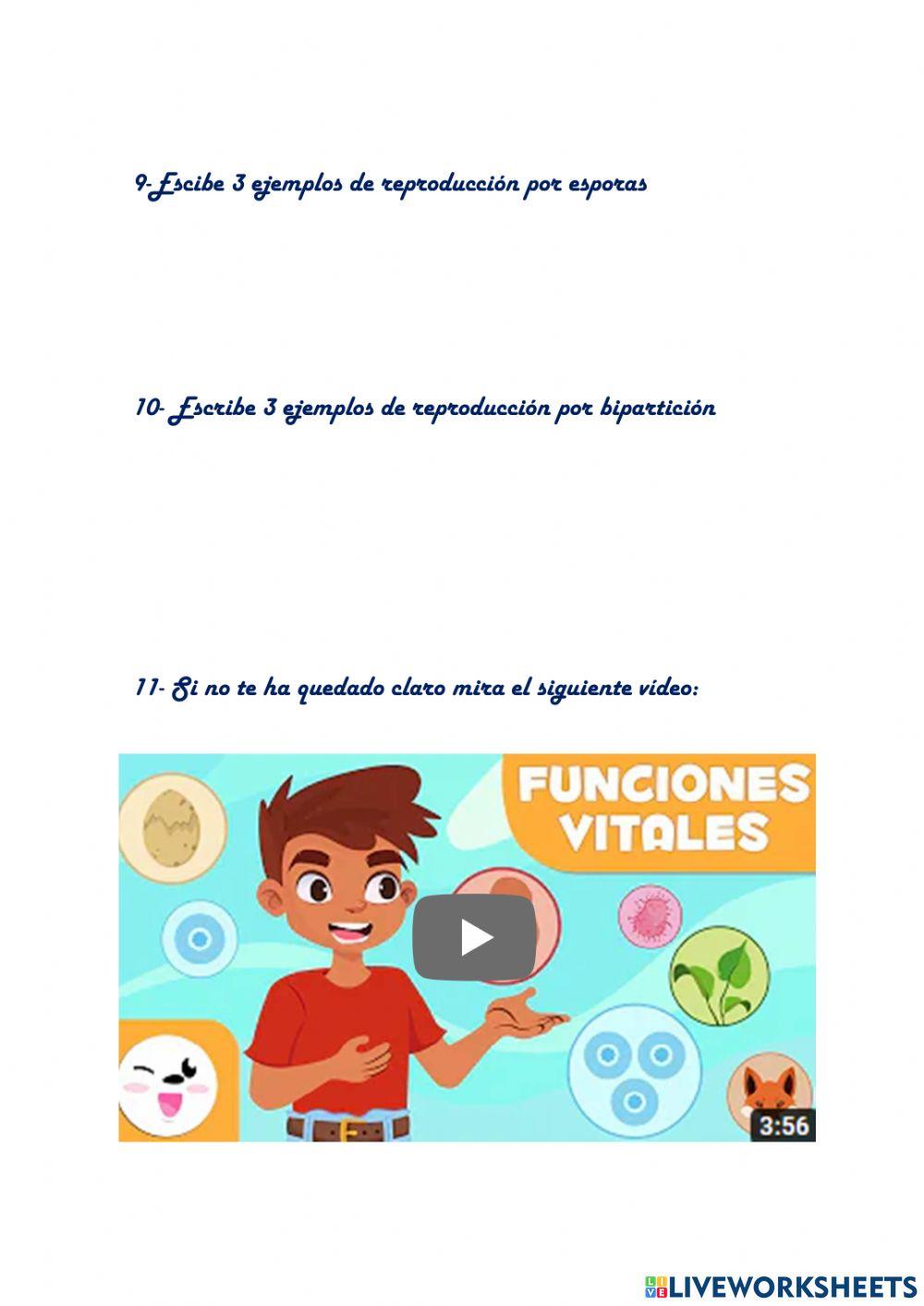 Las funciones vitales Las funciones vitales