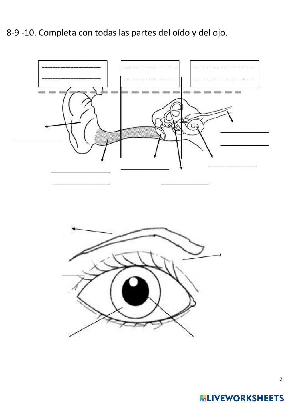 Cuidamos nuestro cuerpo 2