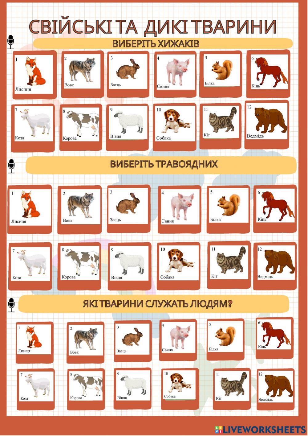 Свійські та дикі тварини