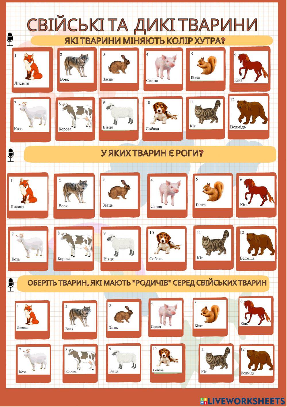 Свійські та дикі тварини