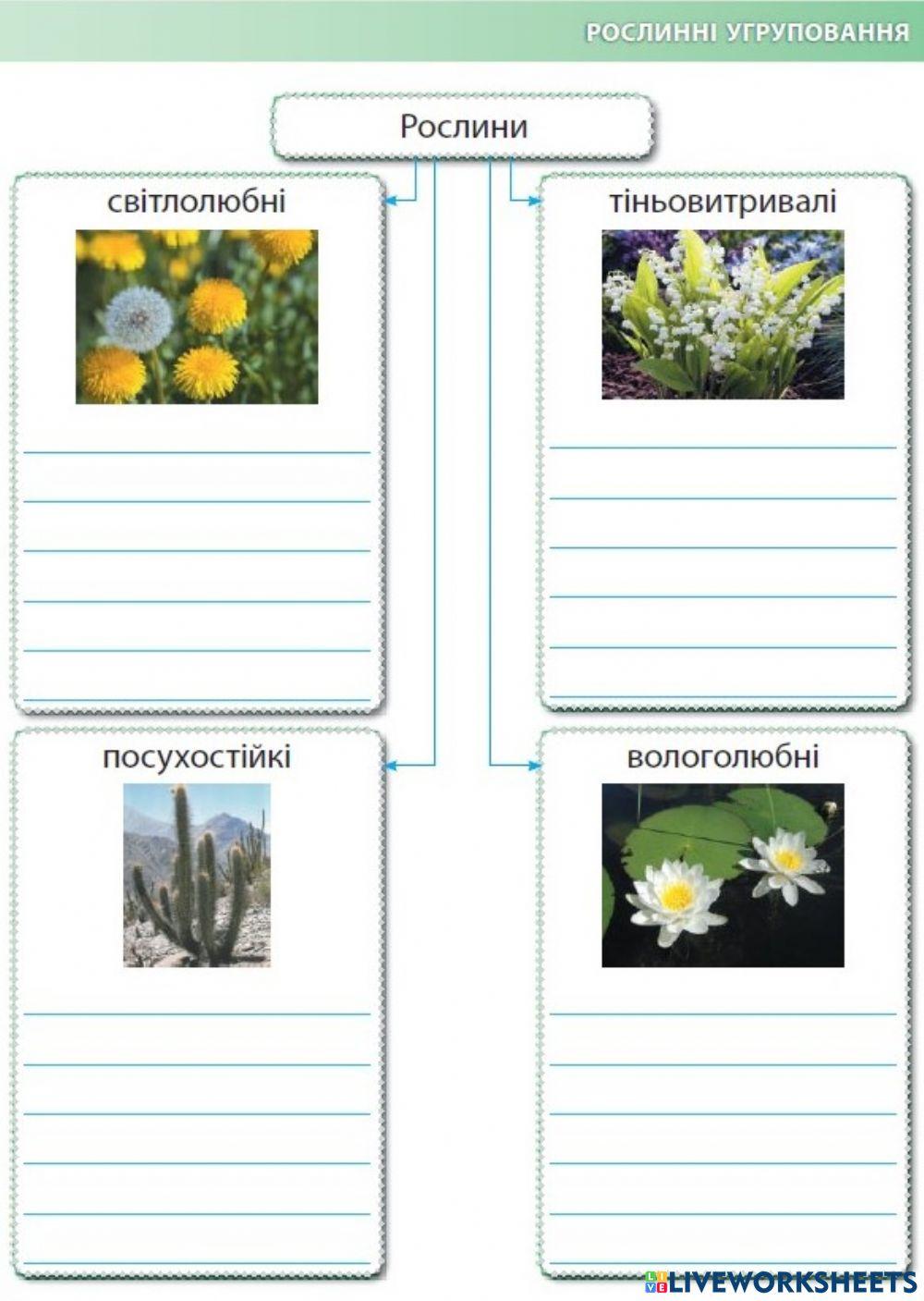 Групи рослин за умовами існування