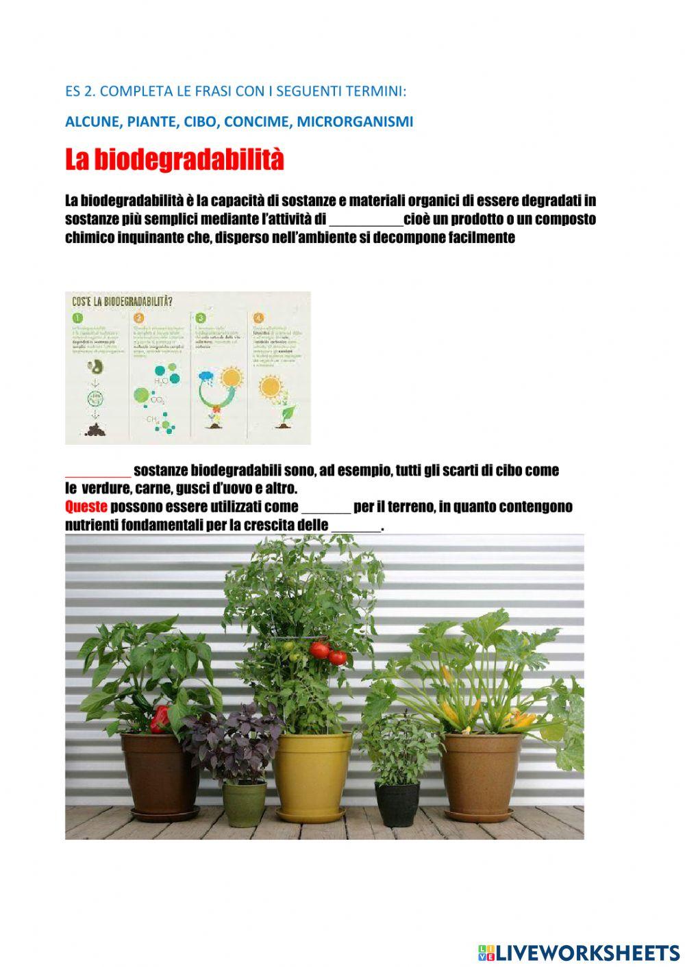 Test di chimica organica semplice