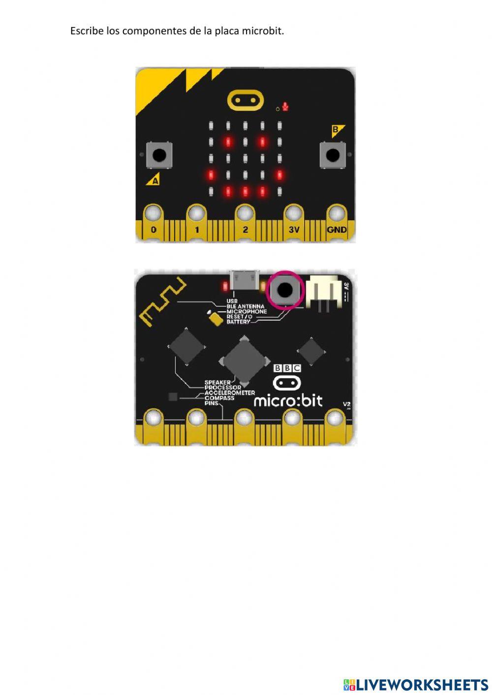 Microbit