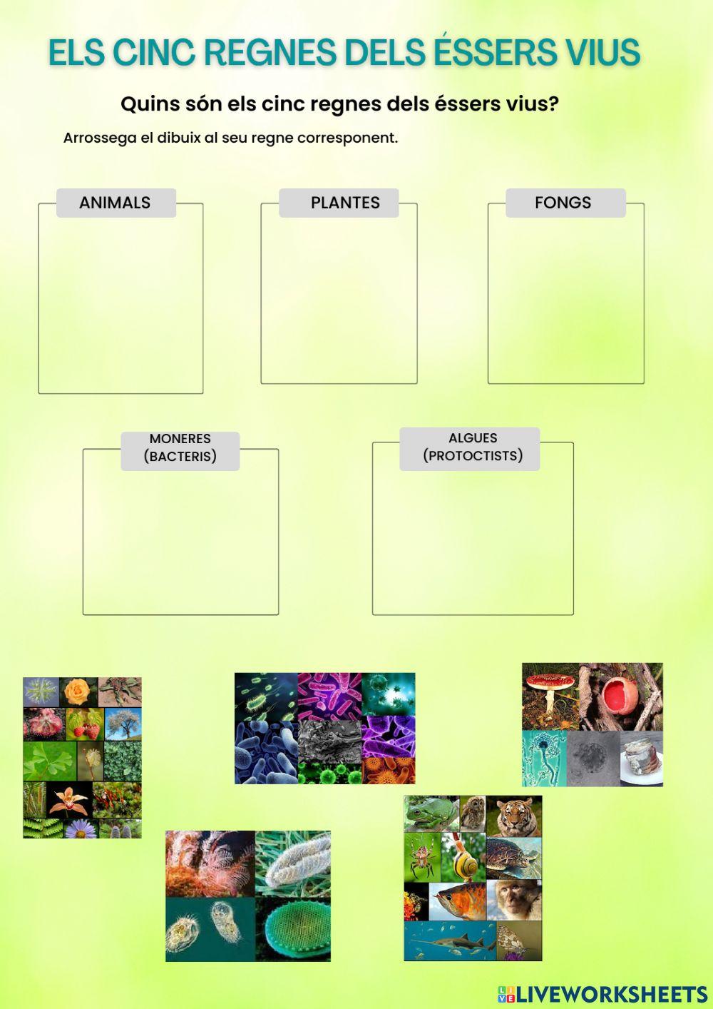 Els cinc regnes dels éssers vius