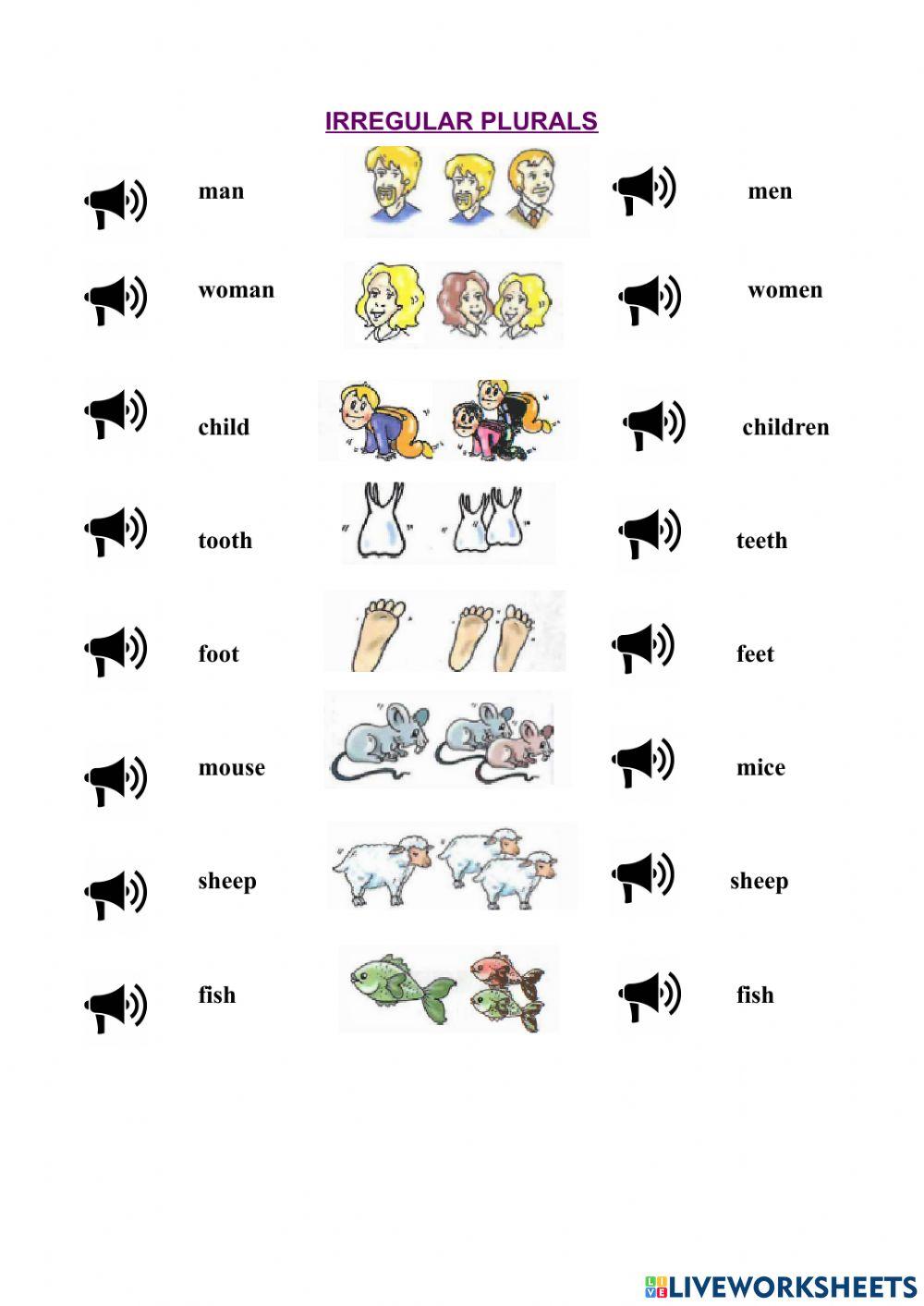Irregular Plural Nouns