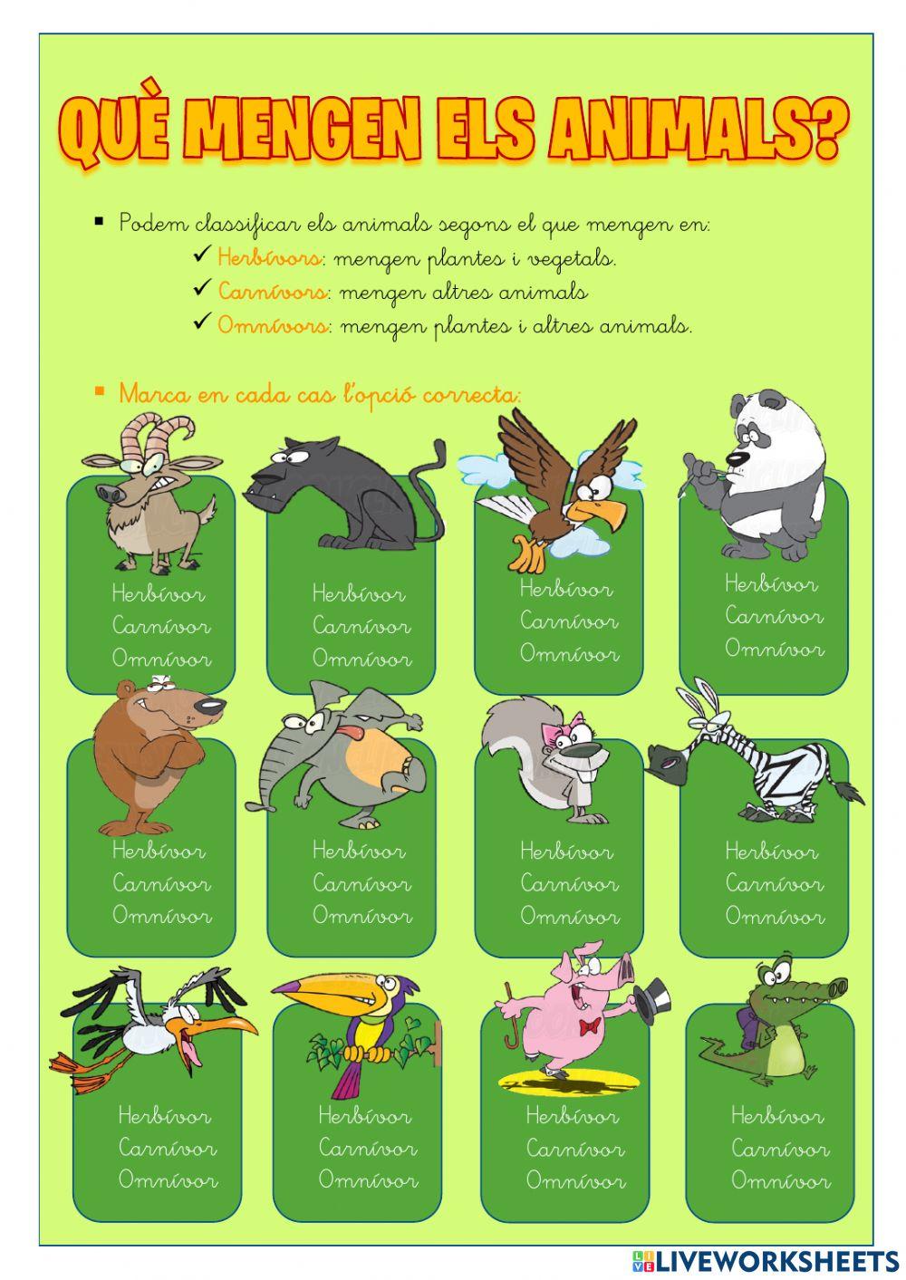 Què mengen els animals? Què mengen els animals?