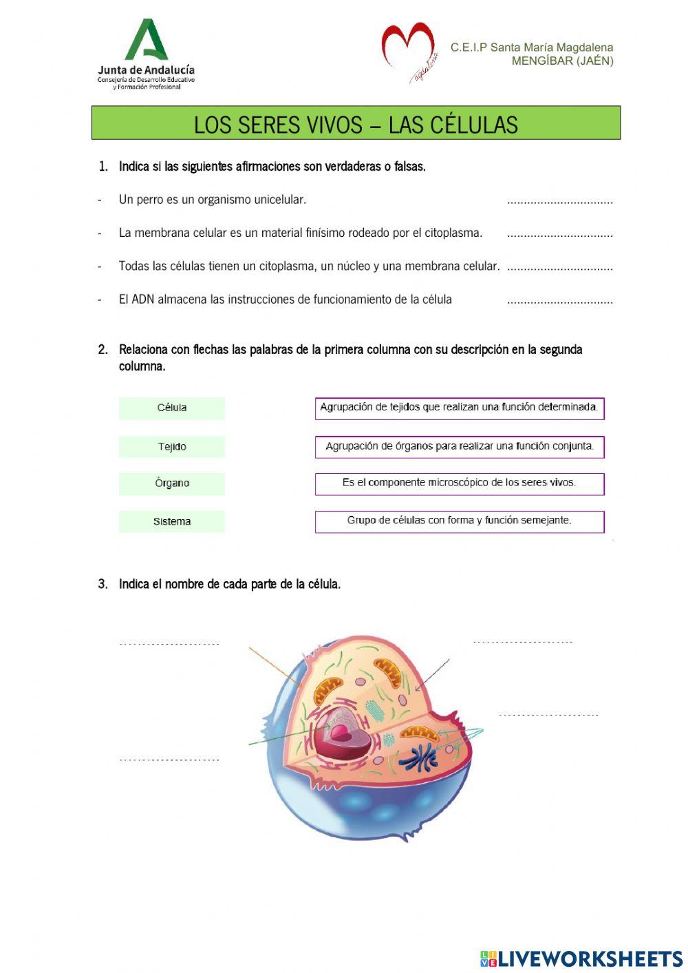 Seres Vivos - L… | Free Interactive Worksheets | 2273547, image size:1000x1413