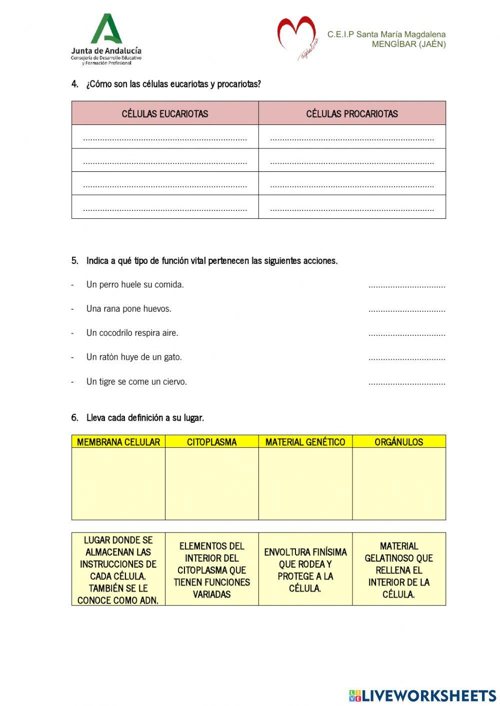 Seres Vivos - La célula