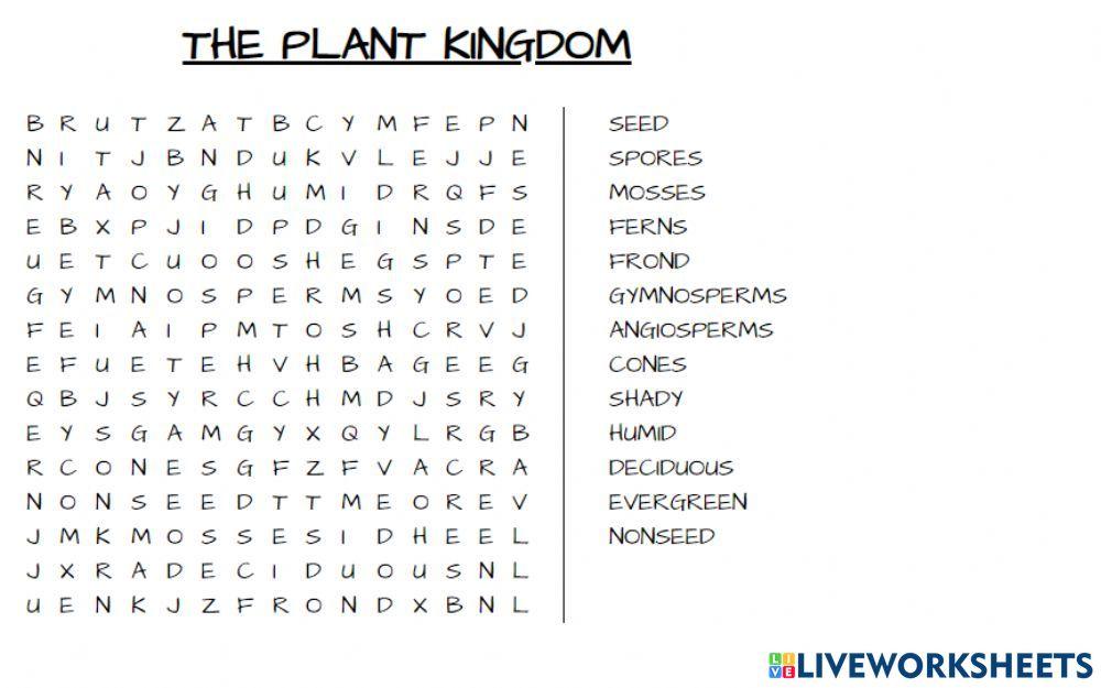 Plant Kingdom 5º grade task