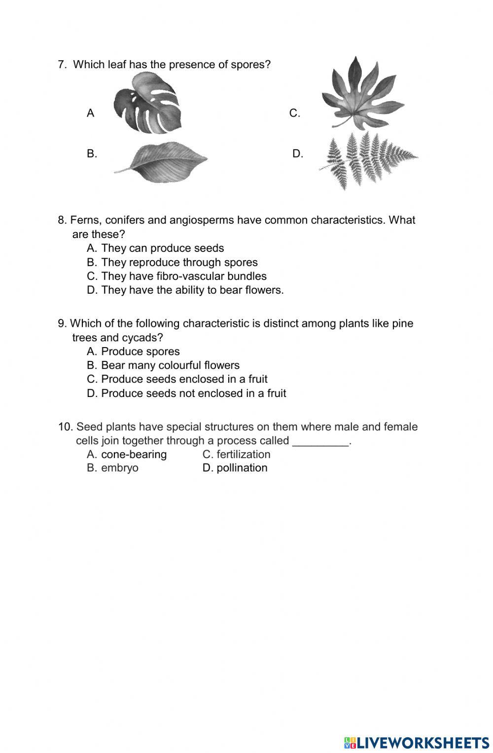 Science 6 Q2 Quiz 2.5