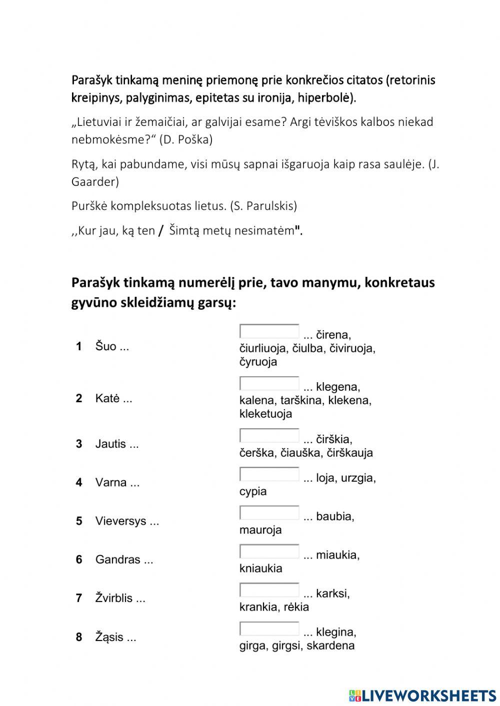 Meninės raiškos priemonės