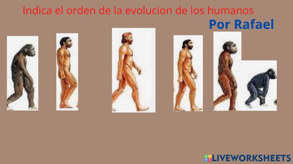 Evolucion del humano