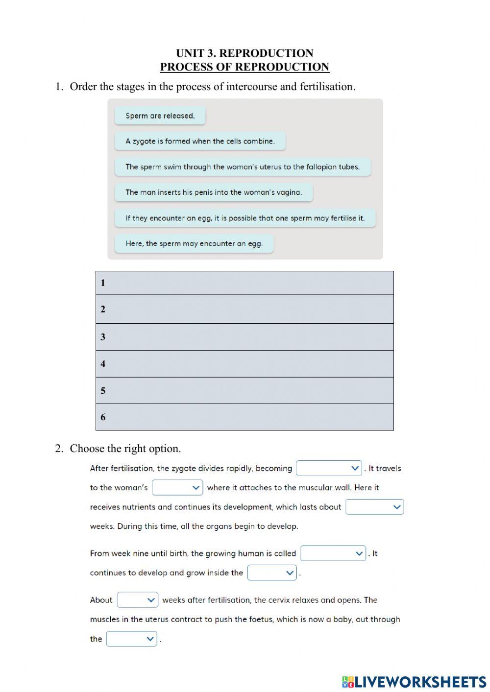 3.4 Reproduction. Sexual Intercourse