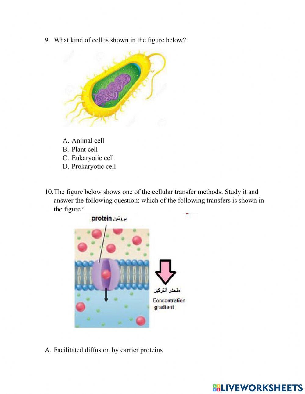 Grade 10 question paper
