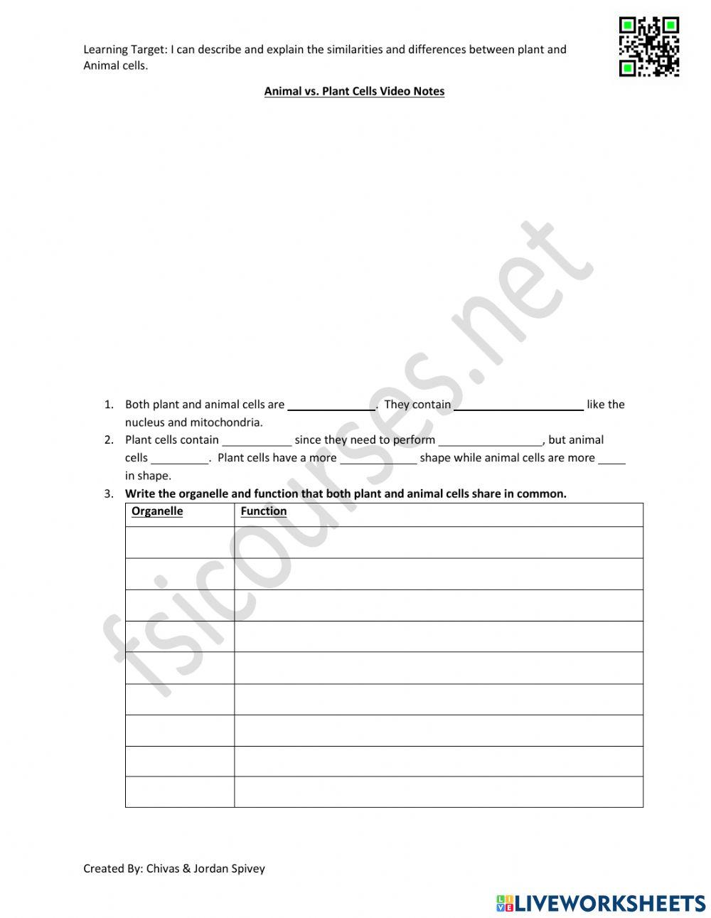 Animal vs. Plant Cells Video Notes