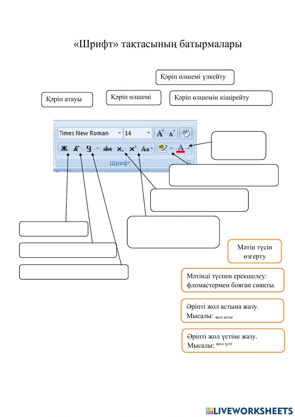 Word мәтіндік редакторы