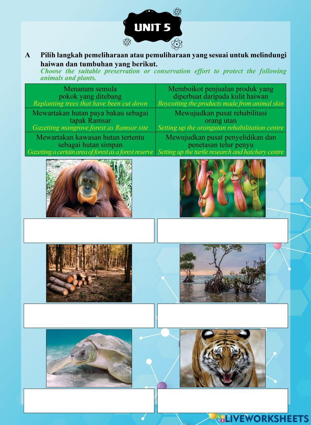 Tutor Sukses 2023 - 24 Sains Tahun 6-Unit 5