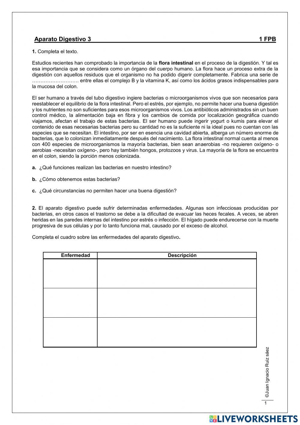 Aparato digestivo 3 Aparato digestivo 3