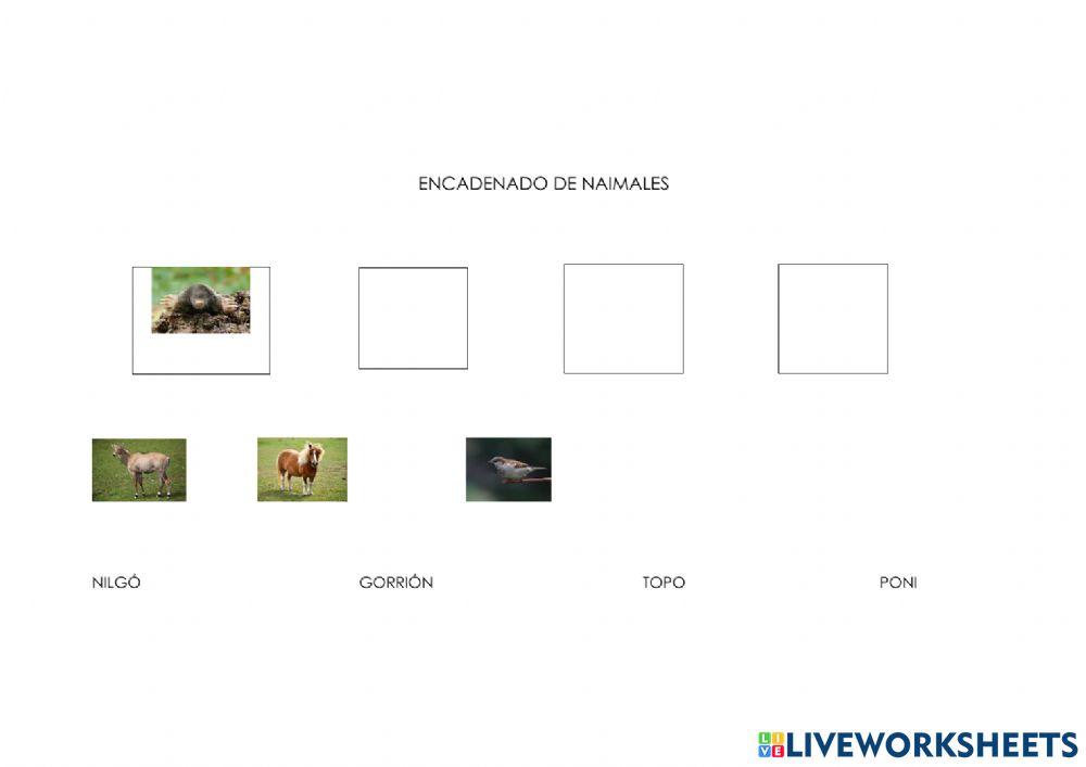 Encadenado de animales