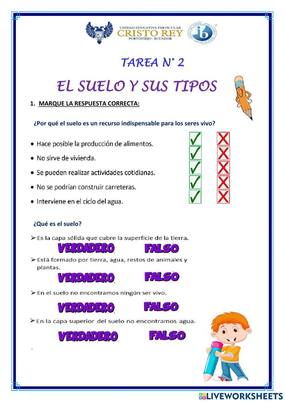 Los tipos de suelos