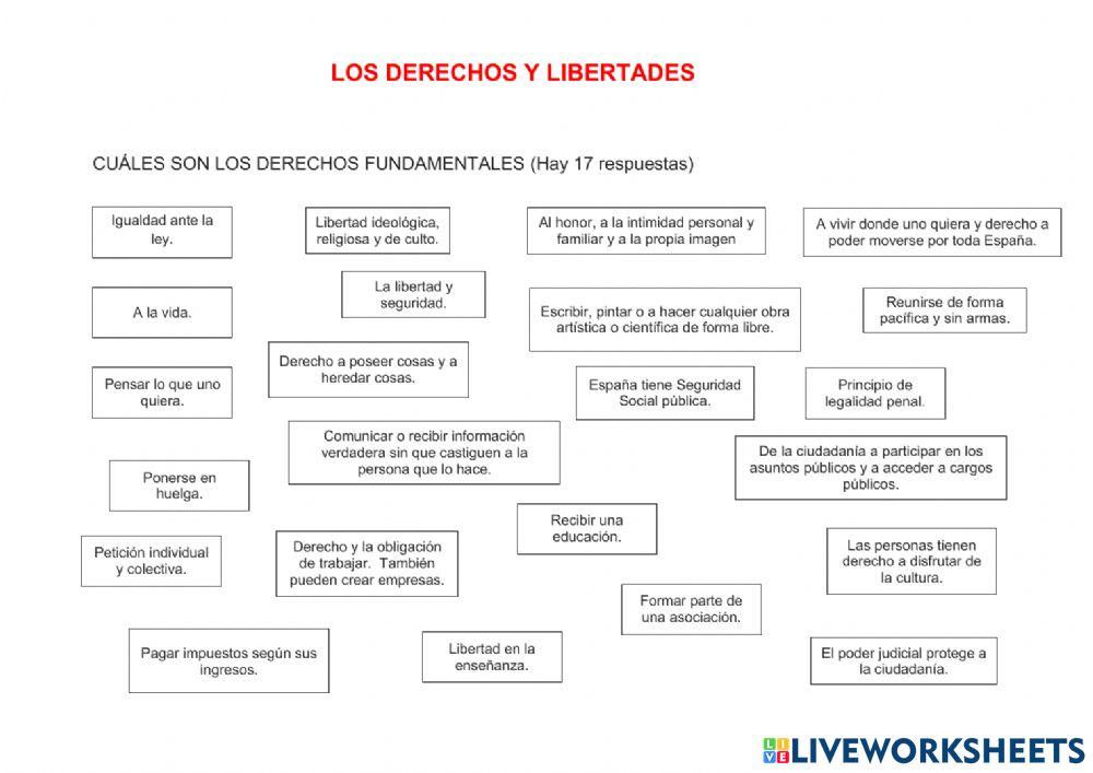 Derechos y libertades