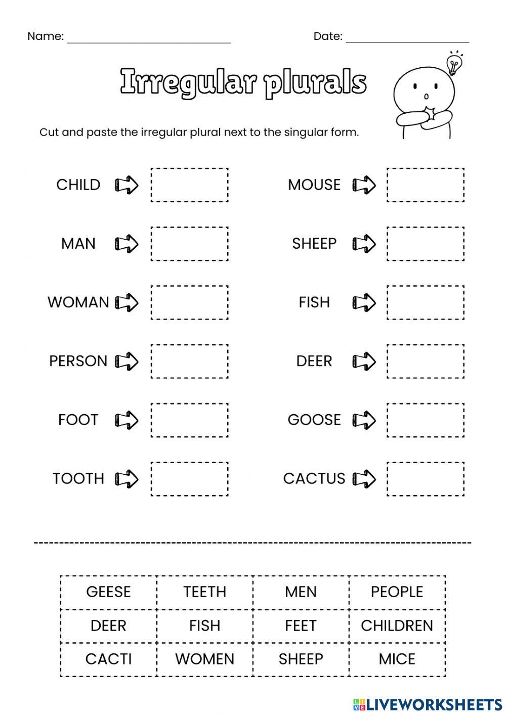 Irregular plural Irregular plural