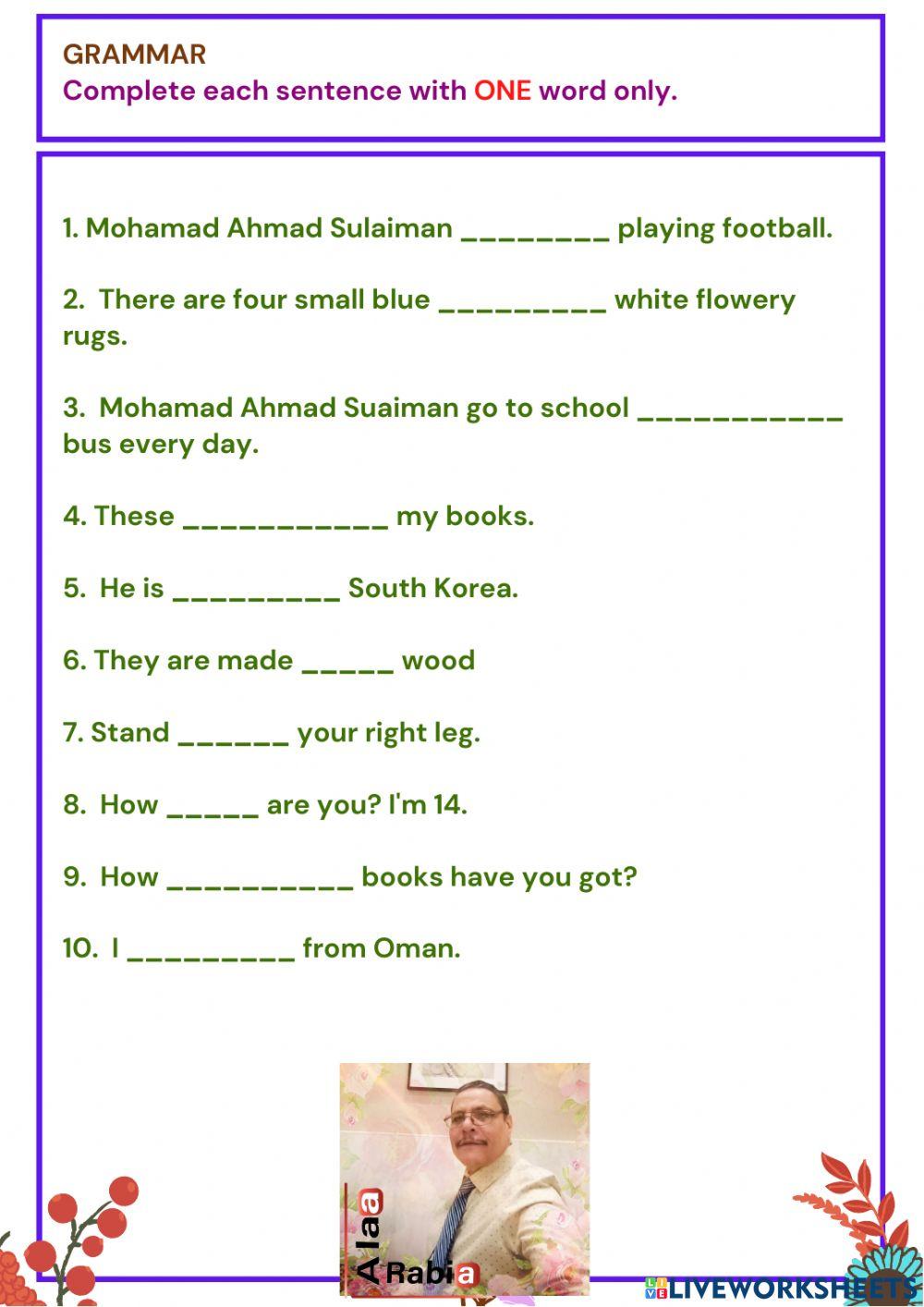 Grade 6 Grammar Exercises  S 2