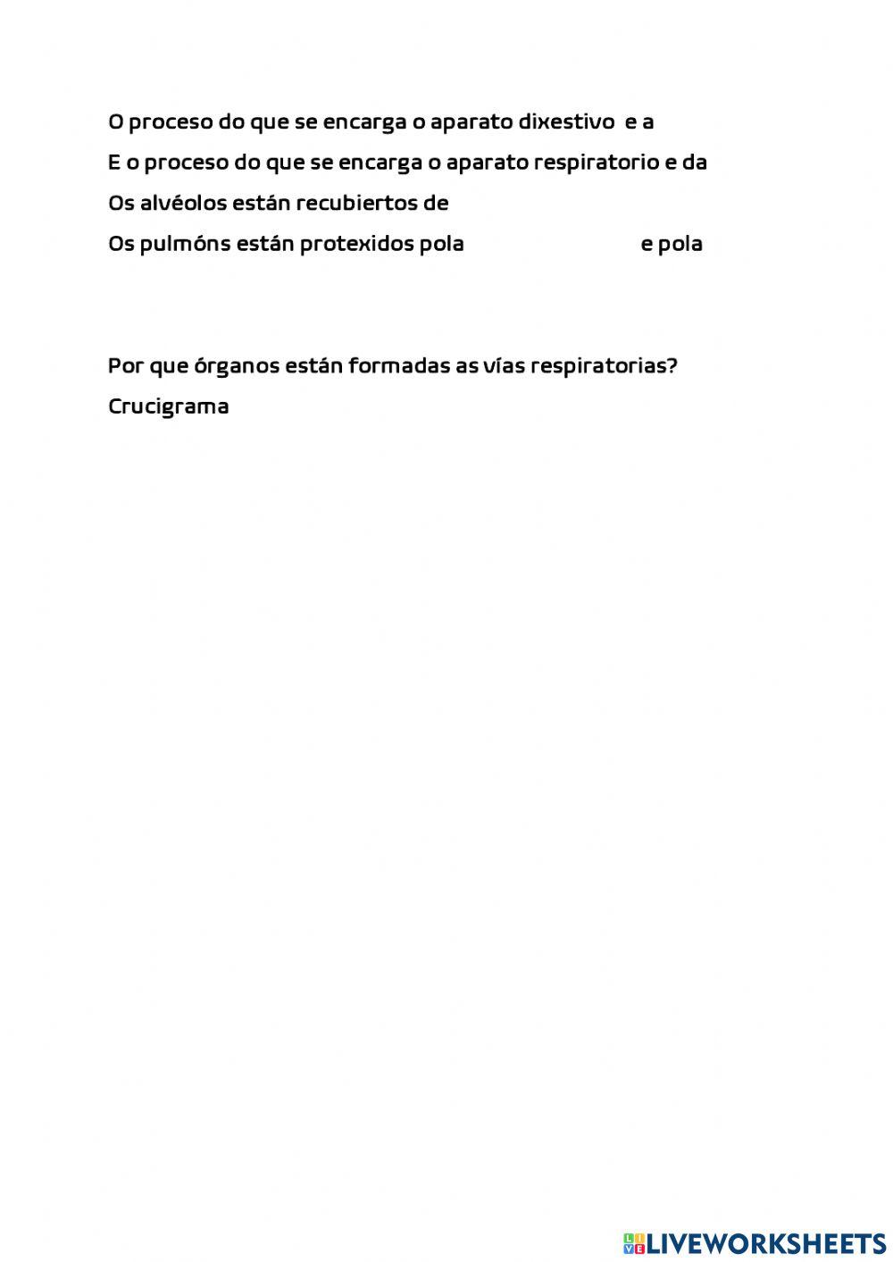 Aparato dixestivo y respiratorio